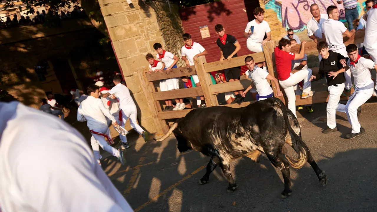 Primer encierro de las fiestas de Tafalla 2025 con toros de la ganadería Conde de la Corte. IRANZUU LARRASOAÑA
