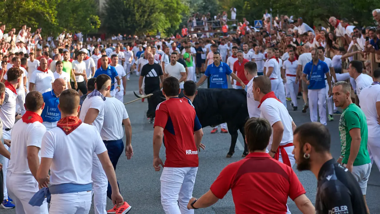 Primer encierro de las fiestas de Tafalla 2025 con toros de la ganadería Conde de la Corte. IRANZUU LARRASOAÑA