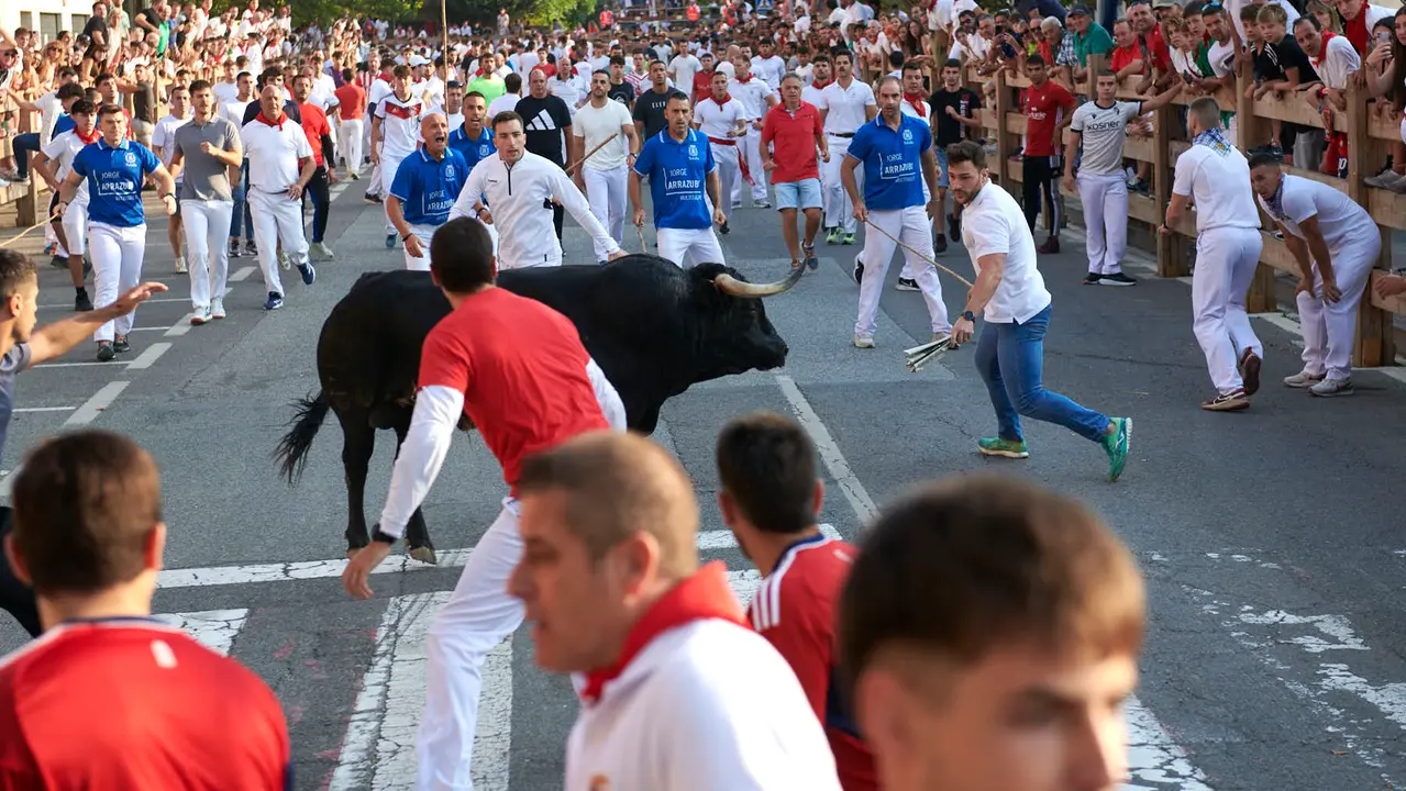 Primer encierro de las fiestas de Tafalla 2025 con toros de la ganadería Conde de la Corte. IRANZUU LARRASOAÑA