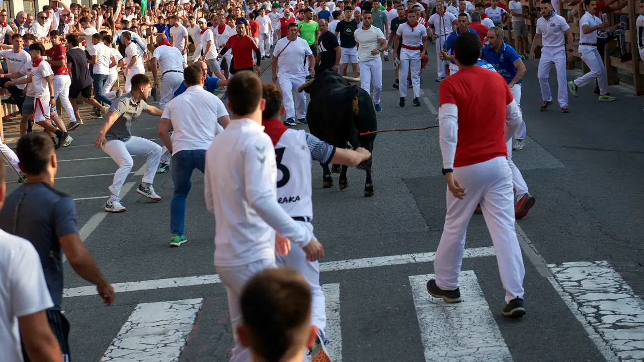 Primer encierro de las fiestas de Tafalla 2025 con toros de la ganadería Conde de la Corte. IRANZUU LARRASOAÑA