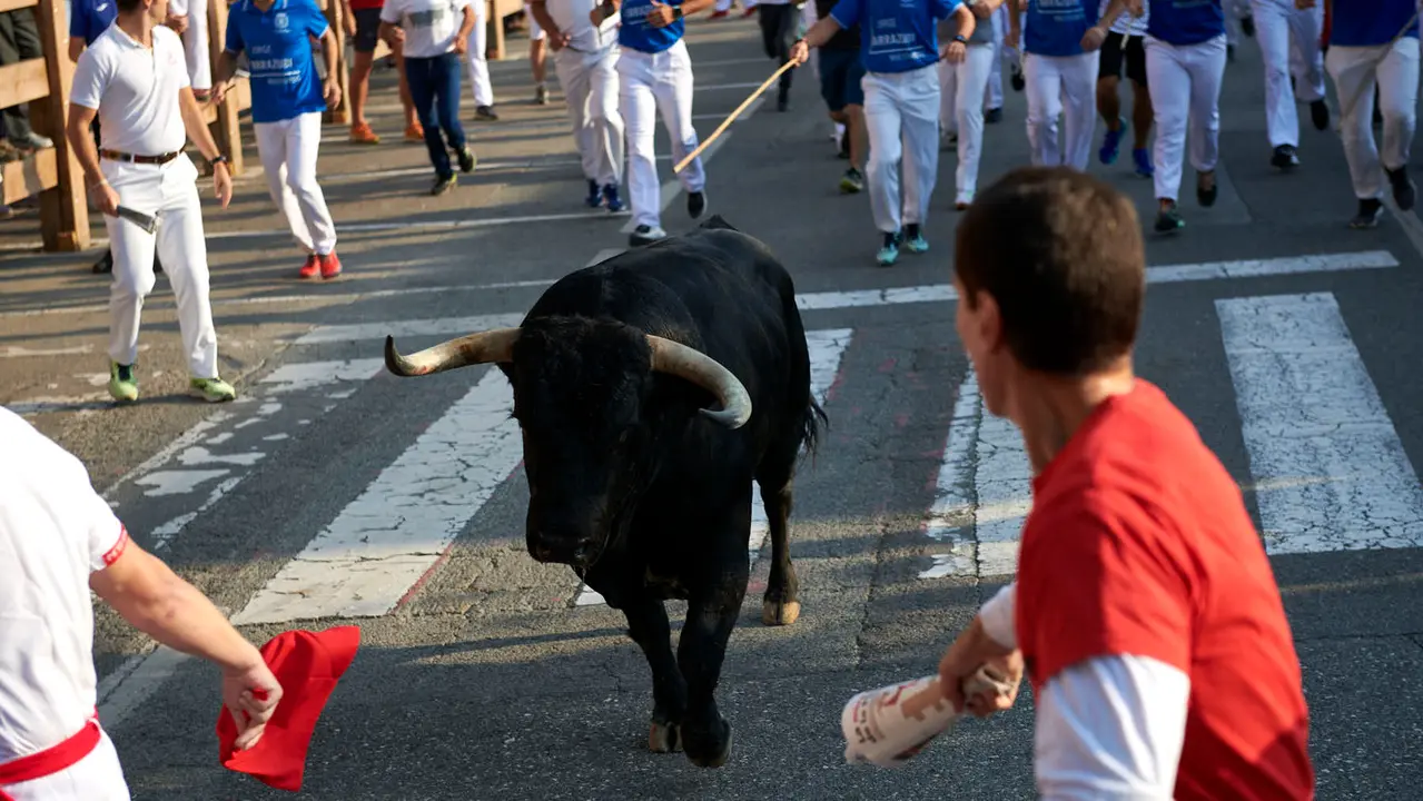 Primer encierro de las fiestas de Tafalla 2025 con toros de la ganadería Conde de la Corte. IRANZUU LARRASOAÑA