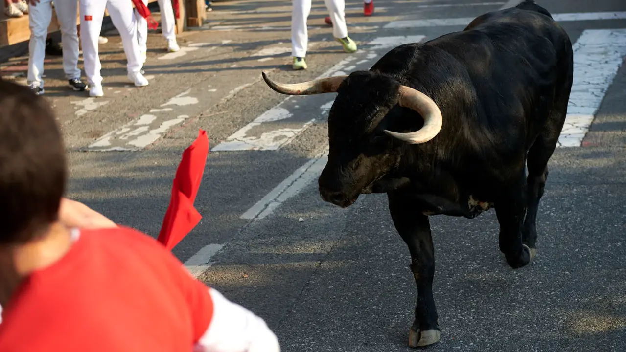 Primer encierro de las fiestas de Tafalla 2025 con toros de la ganadería Conde de la Corte. IRANZUU LARRASOAÑA
