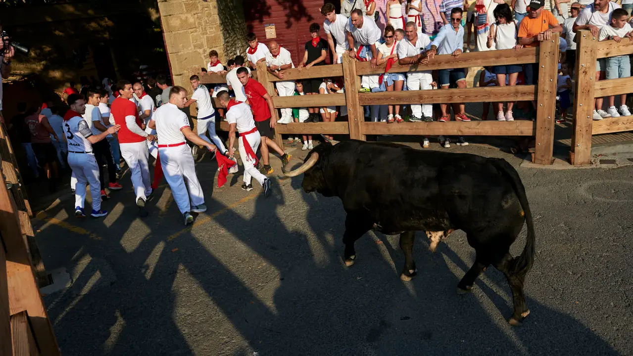 Primer encierro de las fiestas de Tafalla 2025 con toros de la ganadería Conde de la Corte. IRANZUU LARRASOAÑA