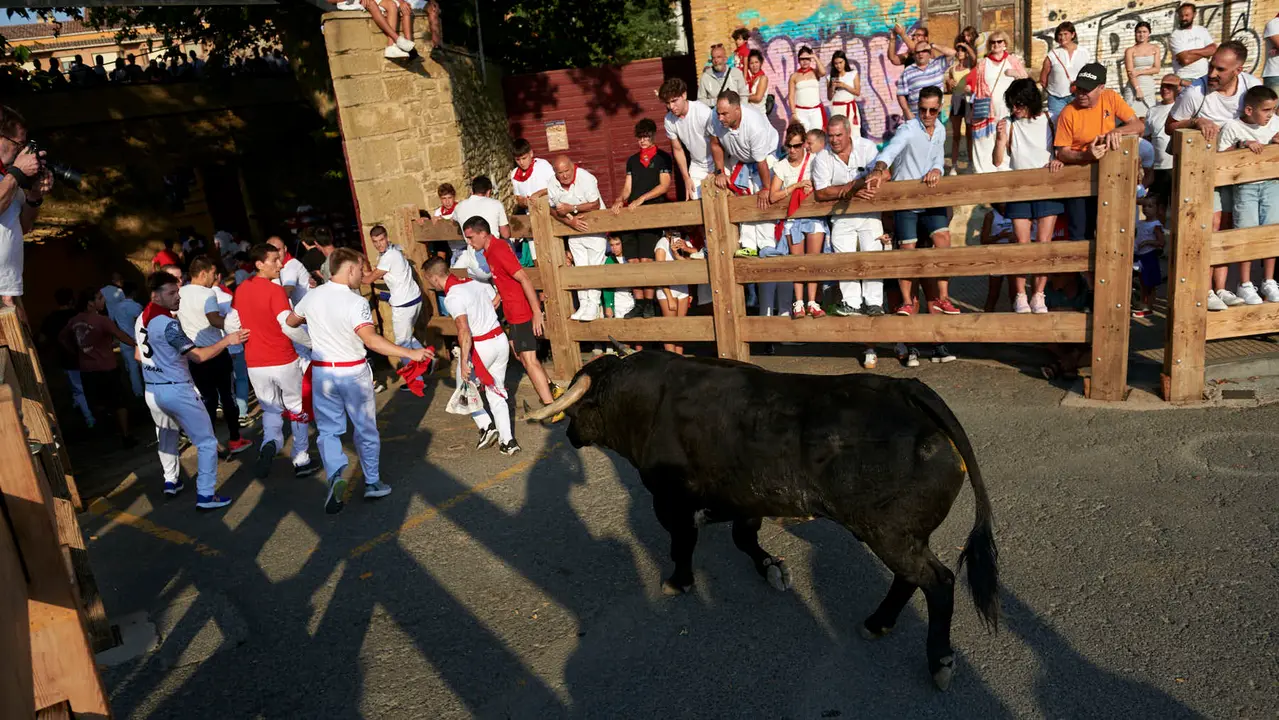 Primer encierro de las fiestas de Tafalla 2025 con toros de la ganadería Conde de la Corte. IRANZUU LARRASOAÑA