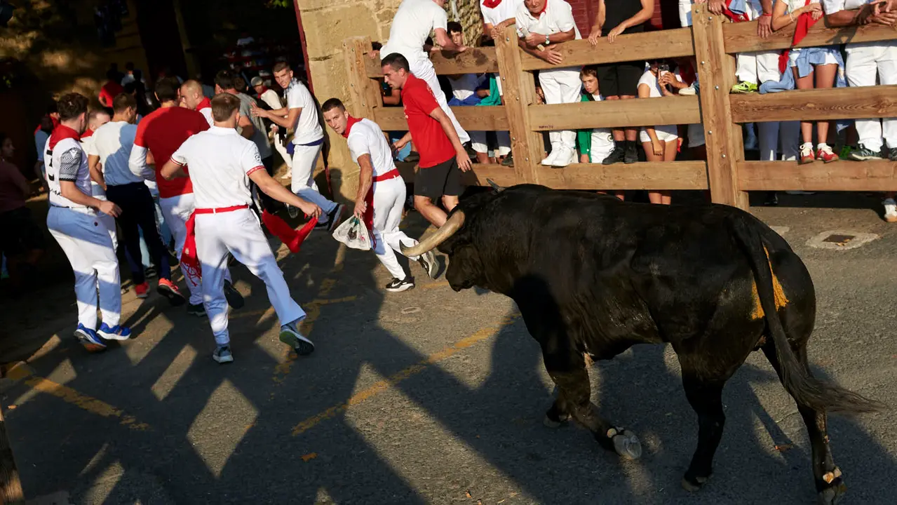 Primer encierro de las fiestas de Tafalla 2025 con toros de la ganadería Conde de la Corte. IRANZUU LARRASOAÑA