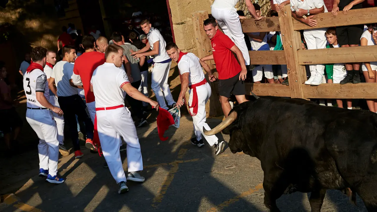 Primer encierro de las fiestas de Tafalla 2025 con toros de la ganadería Conde de la Corte. IRANZUU LARRASOAÑA