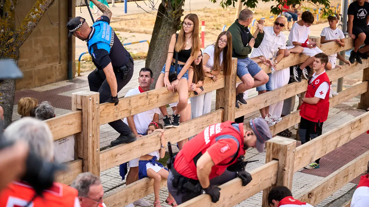 Segundo encierro de las fiestas de Tafalla 2025 con toros de la ganadería de Palha. PABLO LASAOSA