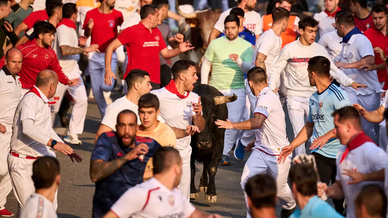 Segundo encierro de las fiestas de Tafalla 2025 con toros de la ganadería de Palha. PABLO LASAOSA