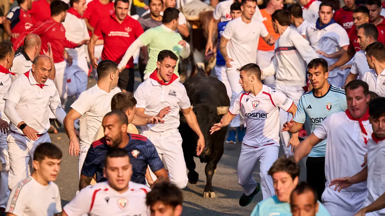 Segundo encierro de las fiestas de Tafalla 2025 con toros de la ganadería de Palha. PABLO LASAOSA