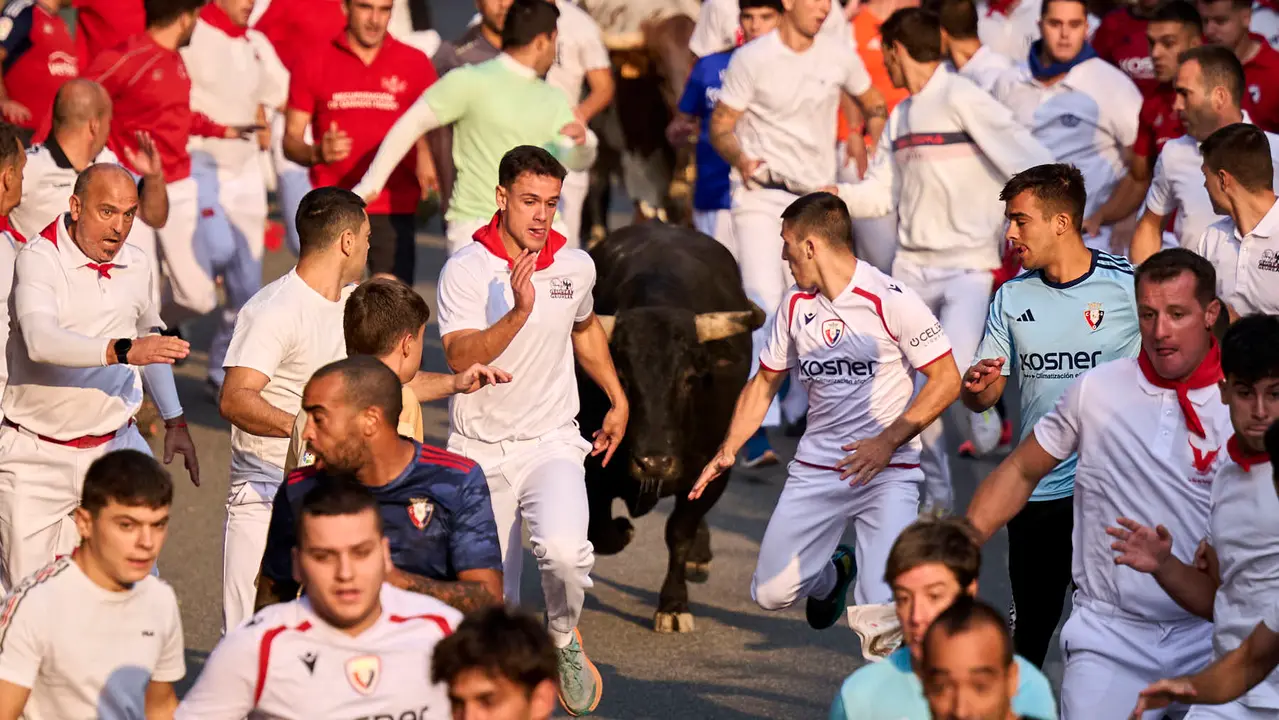 Segundo encierro de las fiestas de Tafalla 2025 con toros de la ganadería de Palha. PABLO LASAOSA