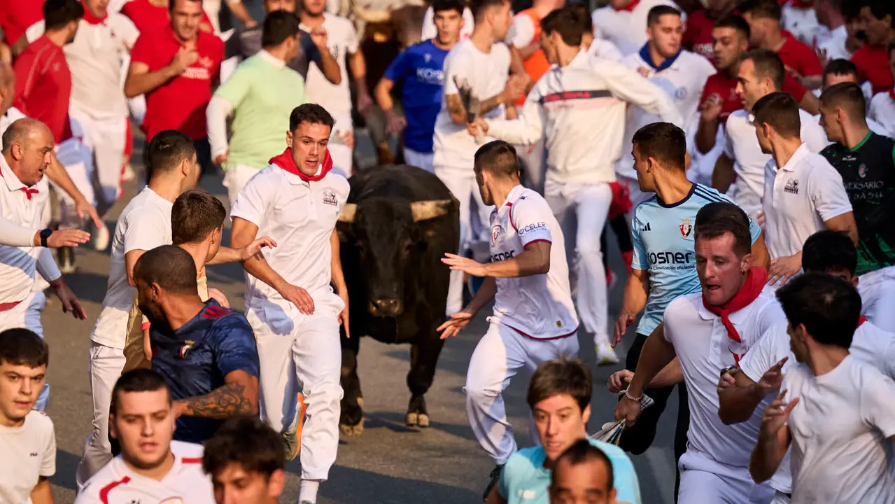 Segundo encierro de las fiestas de Tafalla 2025 con toros de la ganadería de Palha. PABLO LASAOSA