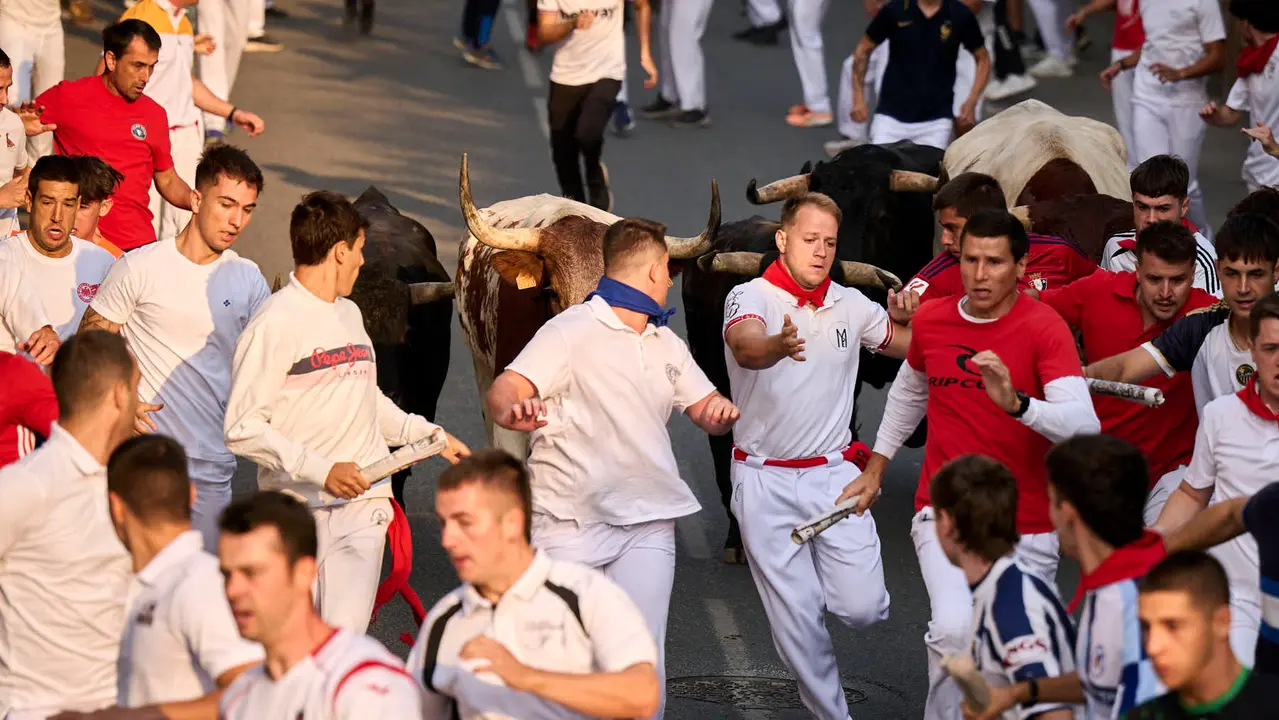 Segundo encierro de las fiestas de Tafalla 2025 con toros de la ganadería de Palha. PABLO LASAOSA
