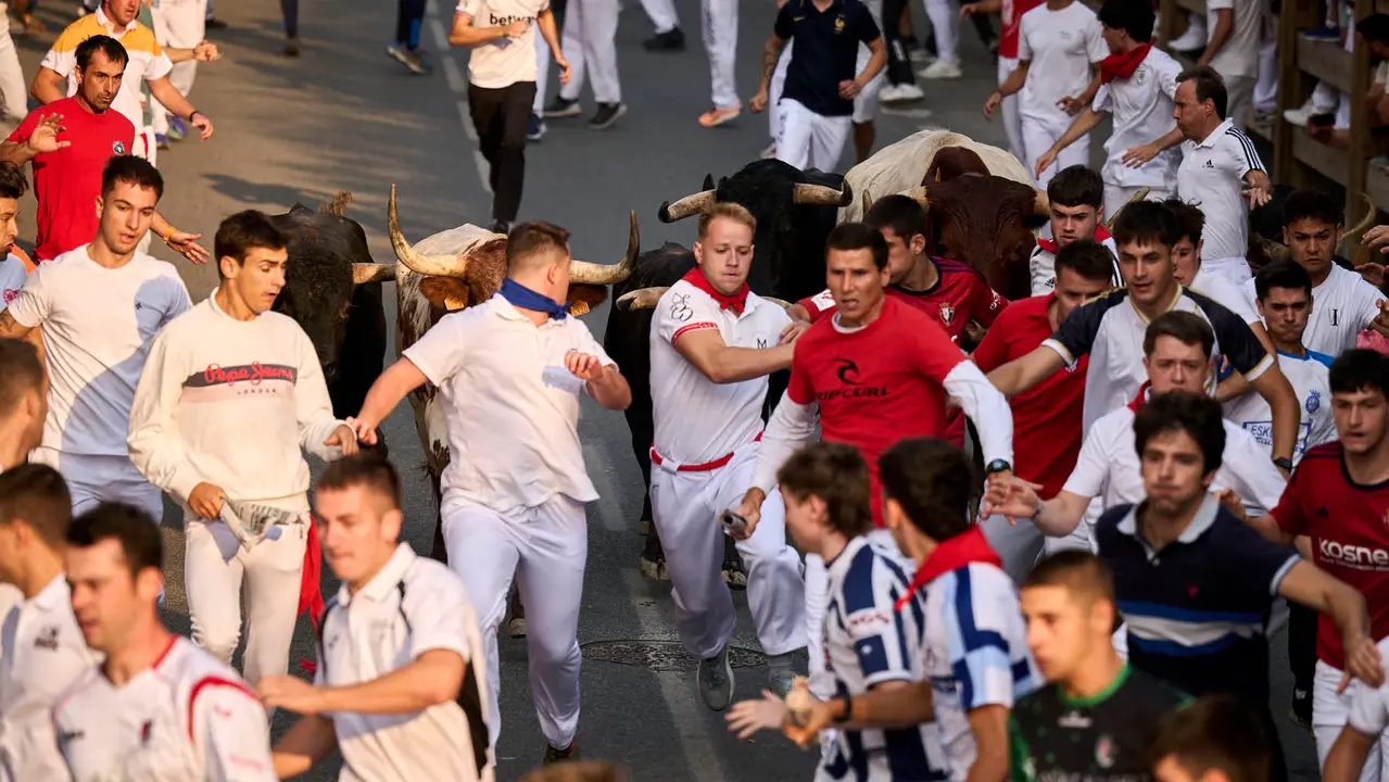 Segundo encierro de las fiestas de Tafalla 2025 con toros de la ganadería de Palha. PABLO LASAOSA