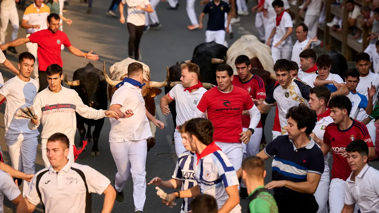 Segundo encierro de las fiestas de Tafalla 2025 con toros de la ganadería de Palha. PABLO LASAOSA