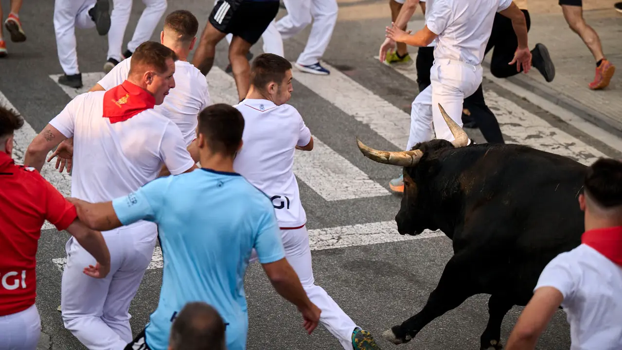 Segundo encierro de las fiestas de Tafalla 2025 con toros de la ganadería de Palha. PABLO LASAOSA