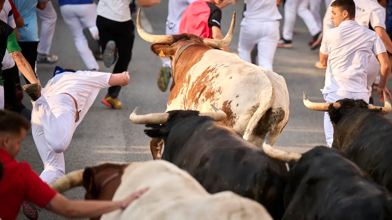 Segundo encierro de las fiestas de Tafalla 2025 con toros de la ganadería de Palha. PABLO LASAOSA
