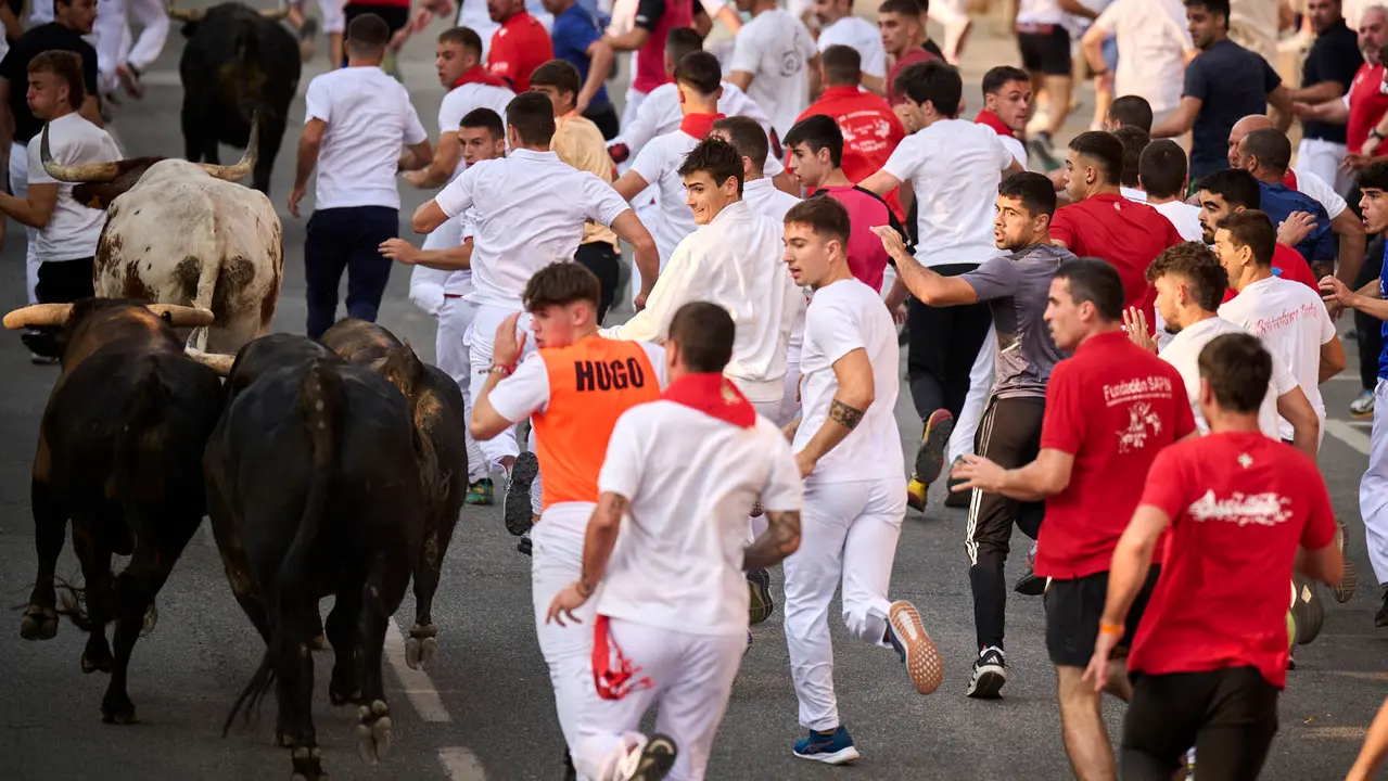 Segundo encierro de las fiestas de Tafalla 2025 con toros de la ganadería de Palha. PABLO LASAOSA