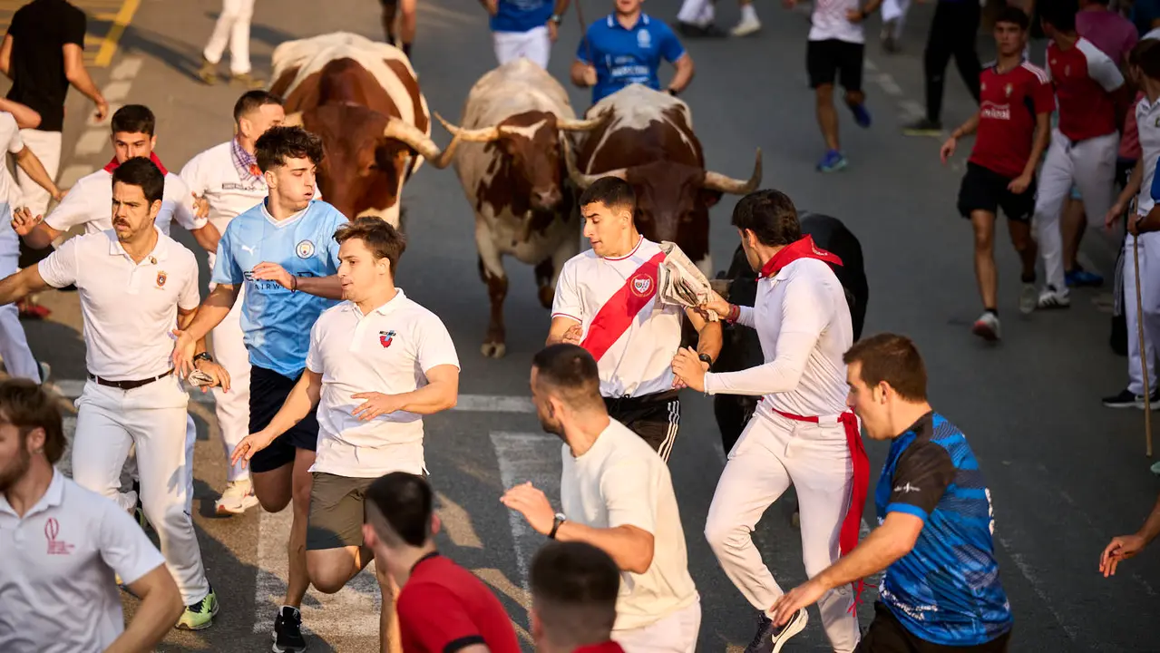 Segundo encierro de las fiestas de Tafalla 2025 con toros de la ganadería de Palha. PABLO LASAOSA