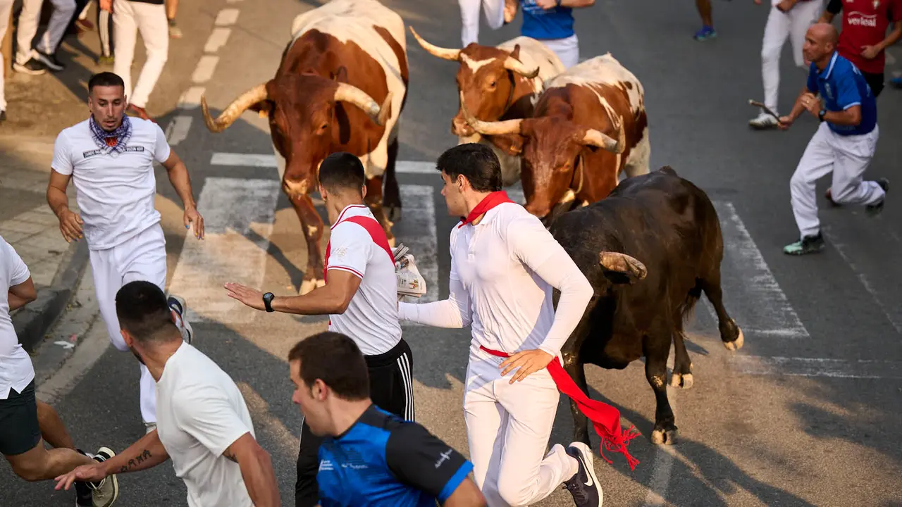 Segundo encierro de las fiestas de Tafalla 2025 con toros de la ganadería de Palha. PABLO LASAOSA