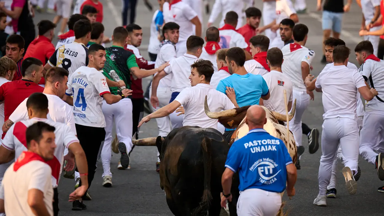 Segundo encierro de las fiestas de Tafalla 2025 con toros de la ganadería de Palha. PABLO LASAOSA