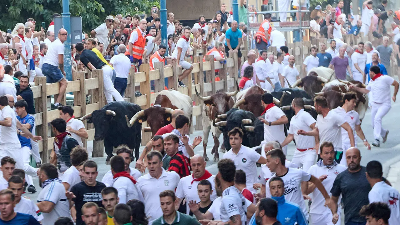 Segundo encierro de las fiestas de Tafalla 2025 con toros de la ganadería de Palha. IÑIGO ALZUGARAY