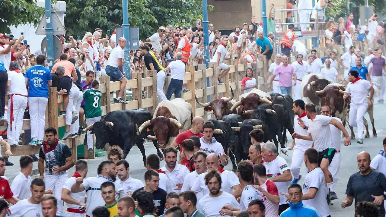 Segundo encierro de las fiestas de Tafalla 2025 con toros de la ganadería de Palha. IÑIGO ALZUGARAY