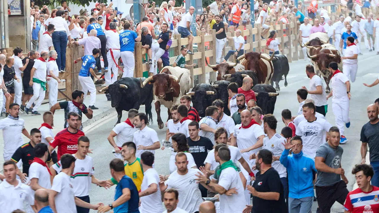 Segundo encierro de las fiestas de Tafalla 2025 con toros de la ganadería de Palha. IÑIGO ALZUGARAY