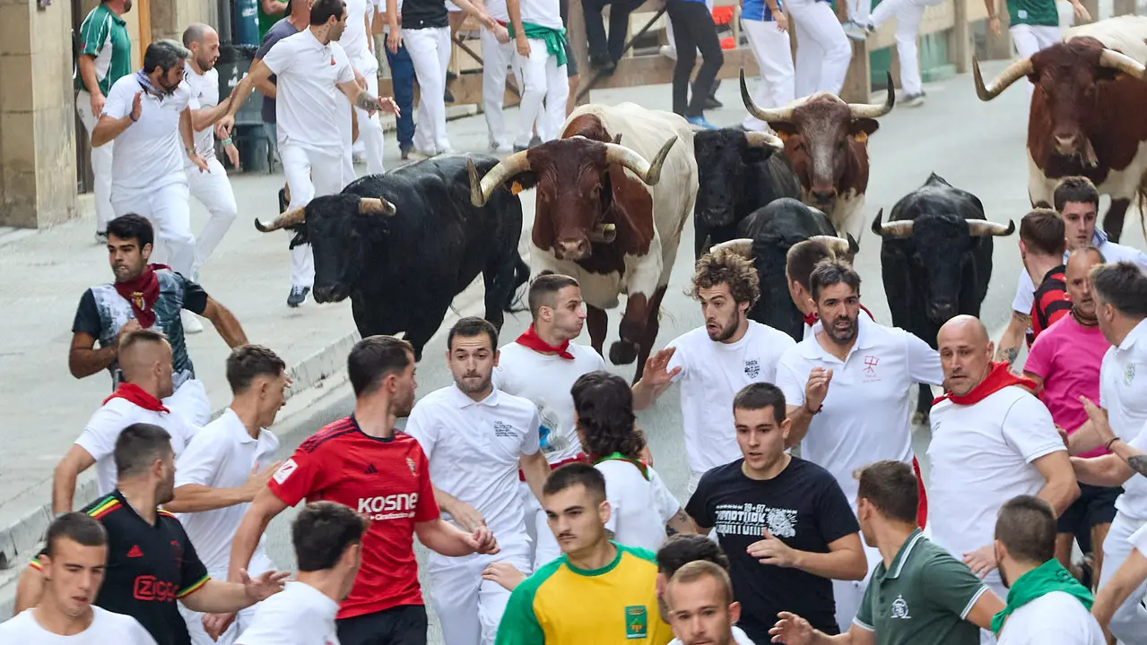 Segundo encierro de las fiestas de Tafalla 2025 con toros de la ganadería de Palha. IÑIGO ALZUGARAY