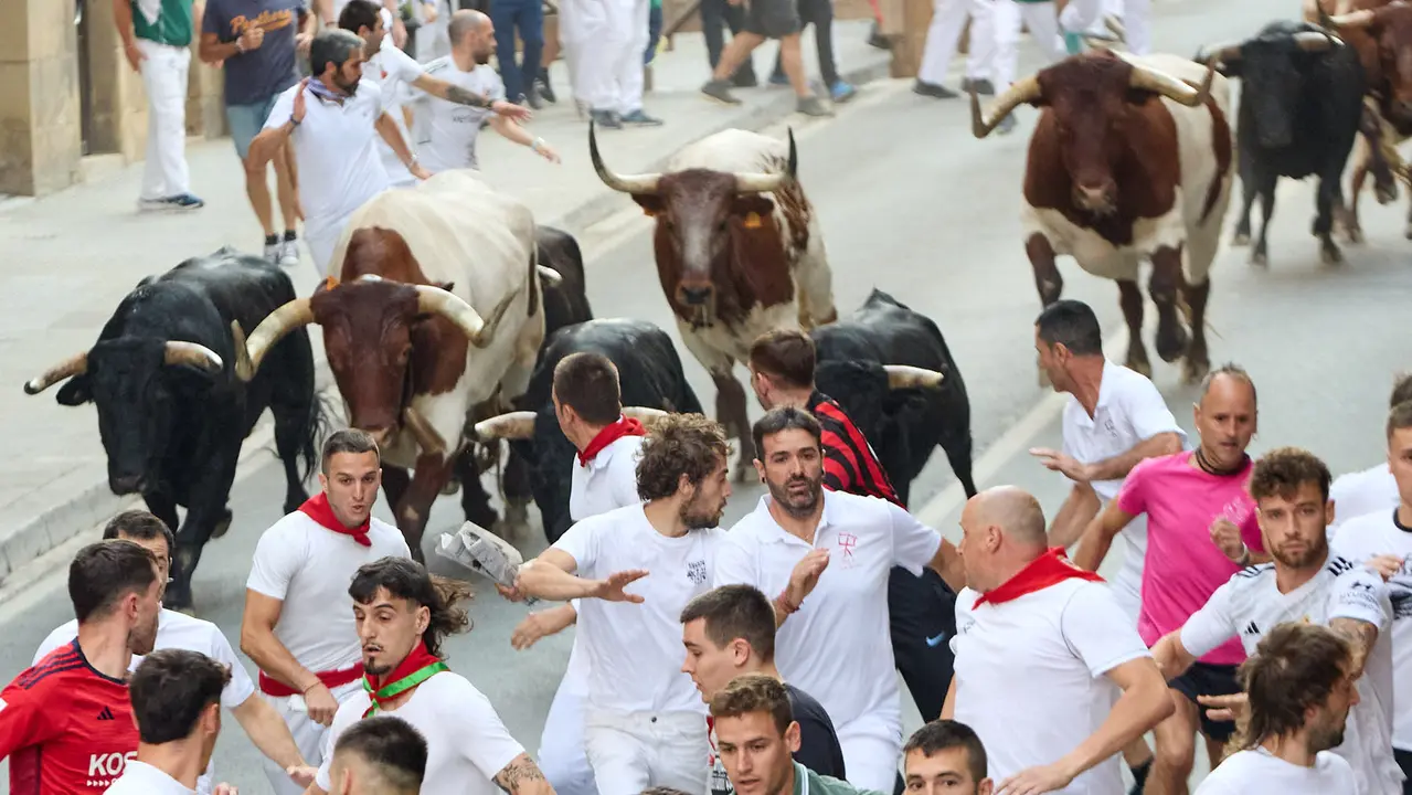 Segundo encierro de las fiestas de Tafalla 2025 con toros de la ganadería de Palha. IÑIGO ALZUGARAY