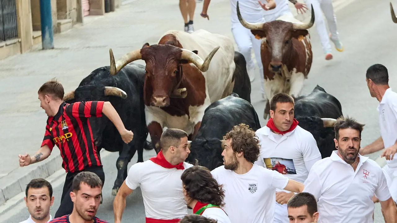 Segundo encierro de las fiestas de Tafalla 2025 con toros de la ganadería de Palha. IÑIGO ALZUGARAY