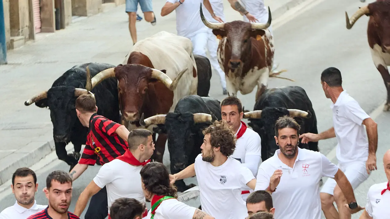 Segundo encierro de las fiestas de Tafalla 2025 con toros de la ganadería de Palha. IÑIGO ALZUGARAY