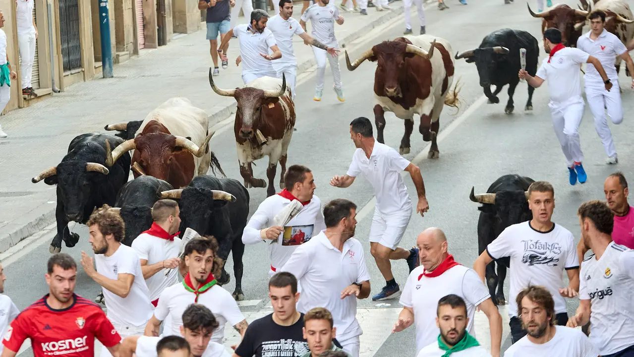 Segundo encierro de las fiestas de Tafalla 2025 con toros de la ganadería de Palha. IÑIGO ALZUGARAY