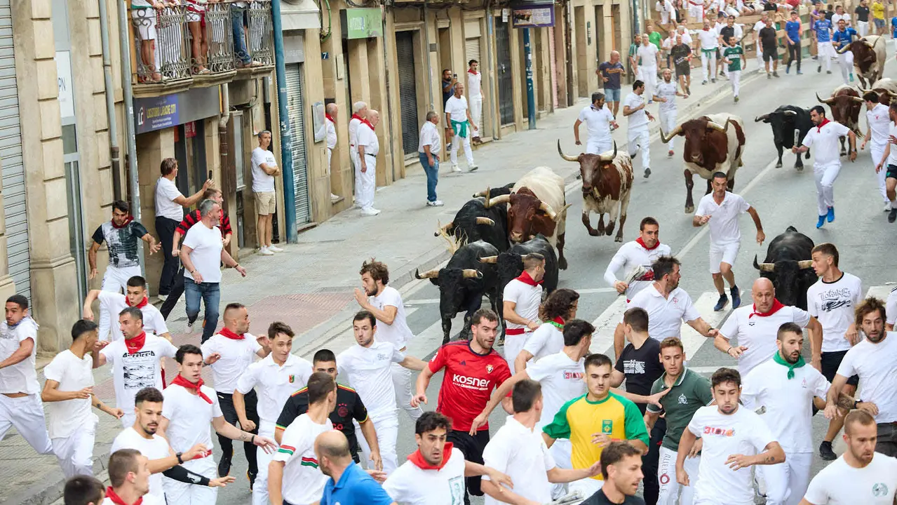 Segundo encierro de las fiestas de Tafalla 2025 con toros de la ganadería de Palha. IÑIGO ALZUGARAY
