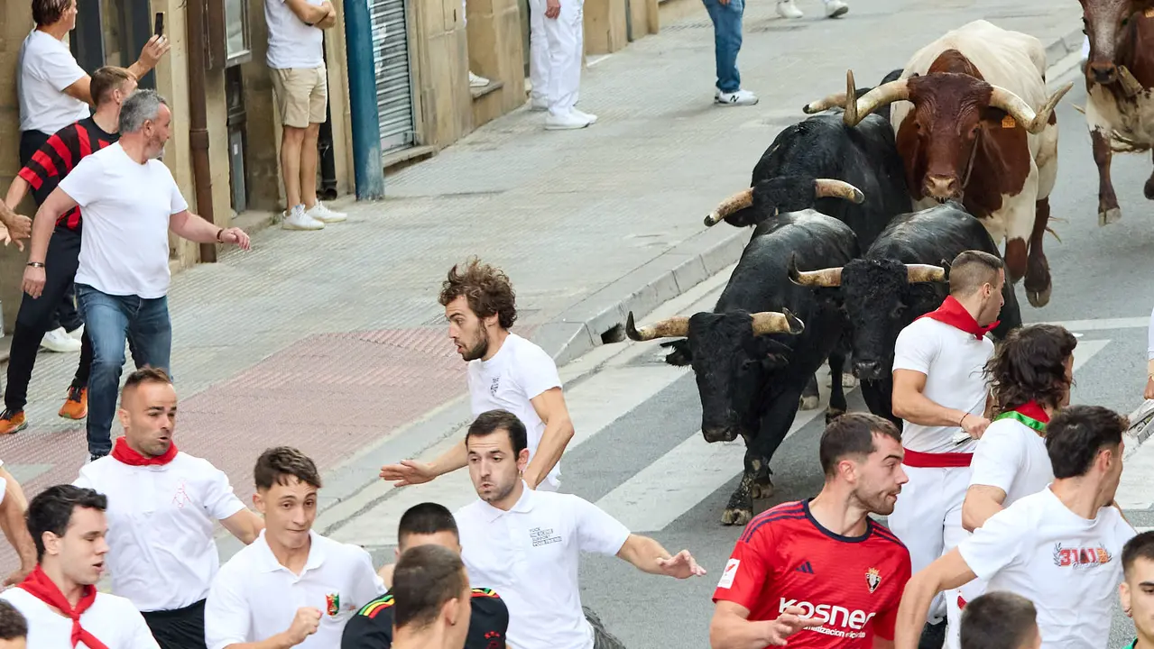Segundo encierro de las fiestas de Tafalla 2025 con toros de la ganadería de Palha. IÑIGO ALZUGARAY
