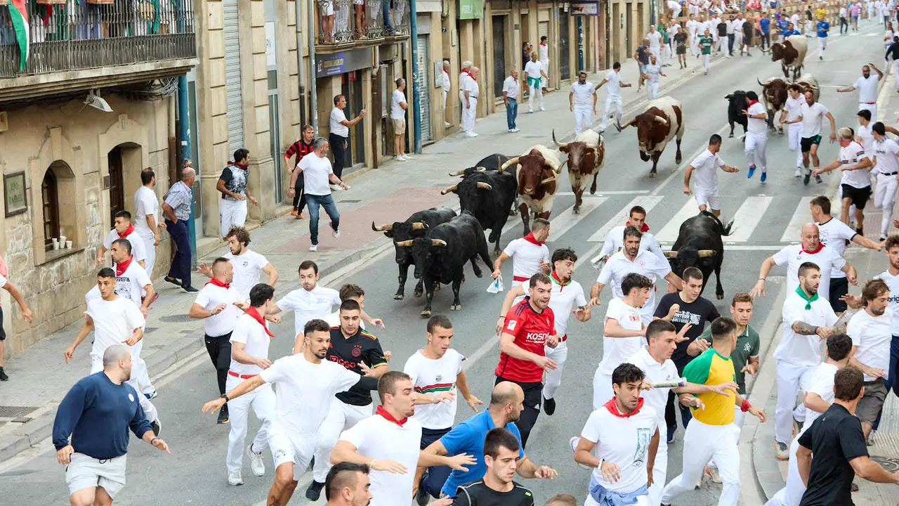 Segundo encierro de las fiestas de Tafalla 2025 con toros de la ganadería de Palha. IÑIGO ALZUGARAY