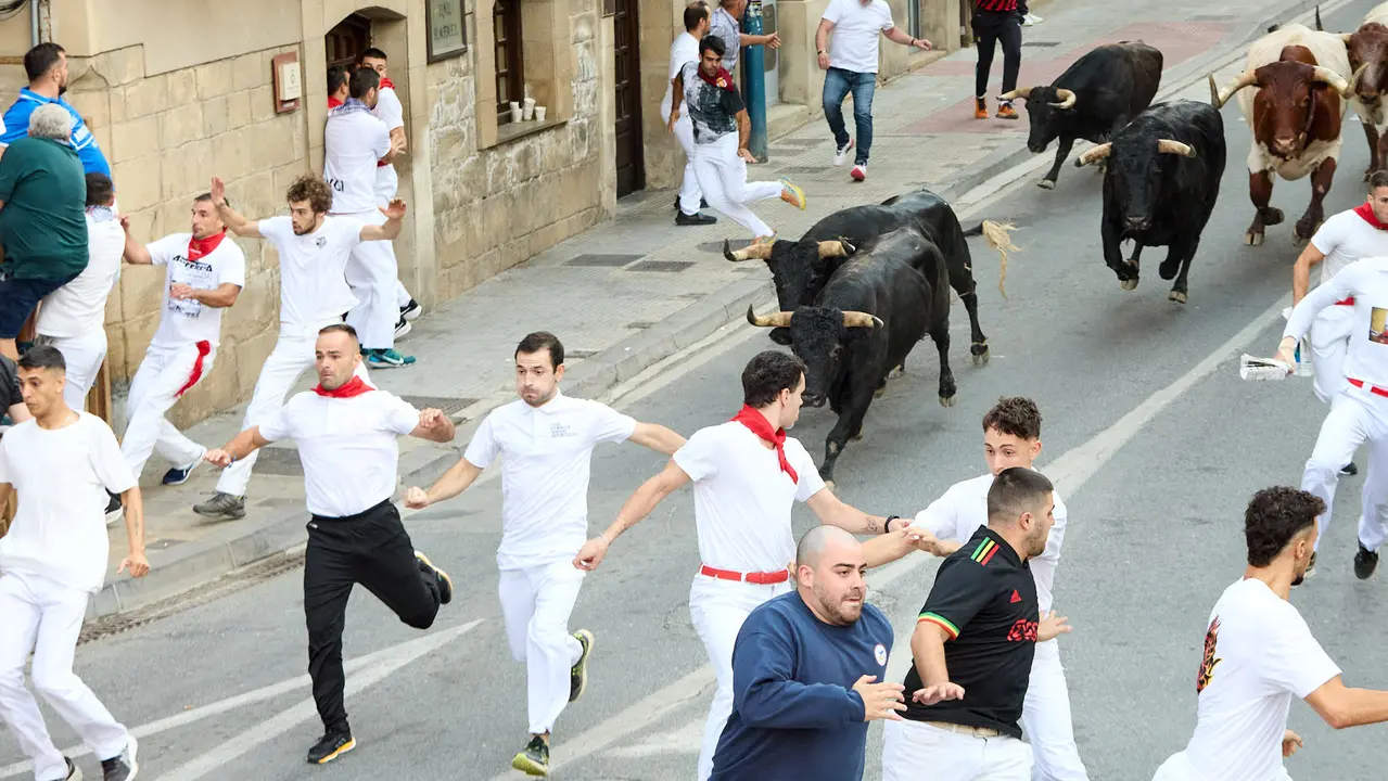 Segundo encierro de las fiestas de Tafalla 2025 con toros de la ganadería de Palha. IÑIGO ALZUGARAY
