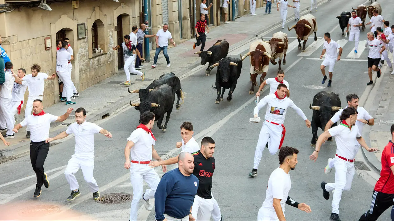 Segundo encierro de las fiestas de Tafalla 2025 con toros de la ganadería de Palha. IÑIGO ALZUGARAY