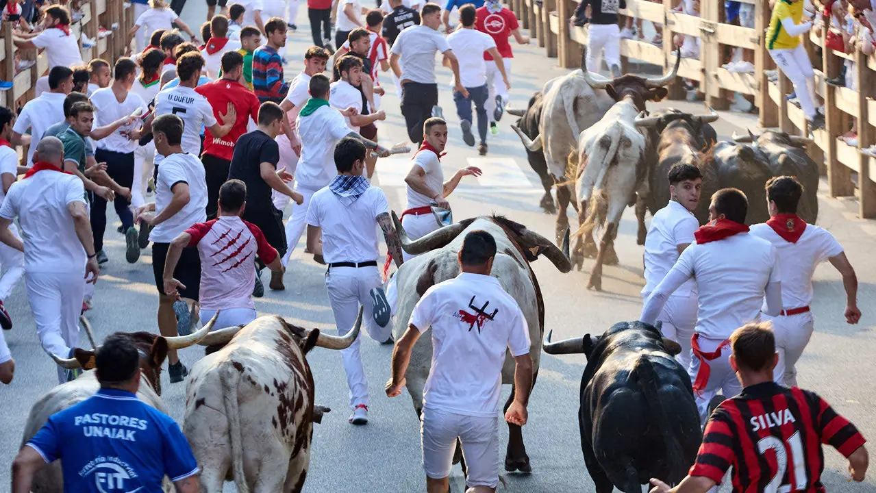 Segundo encierro de las fiestas de Tafalla 2025 con toros de la ganadería de Palha. IÑIGO ALZUGARAY