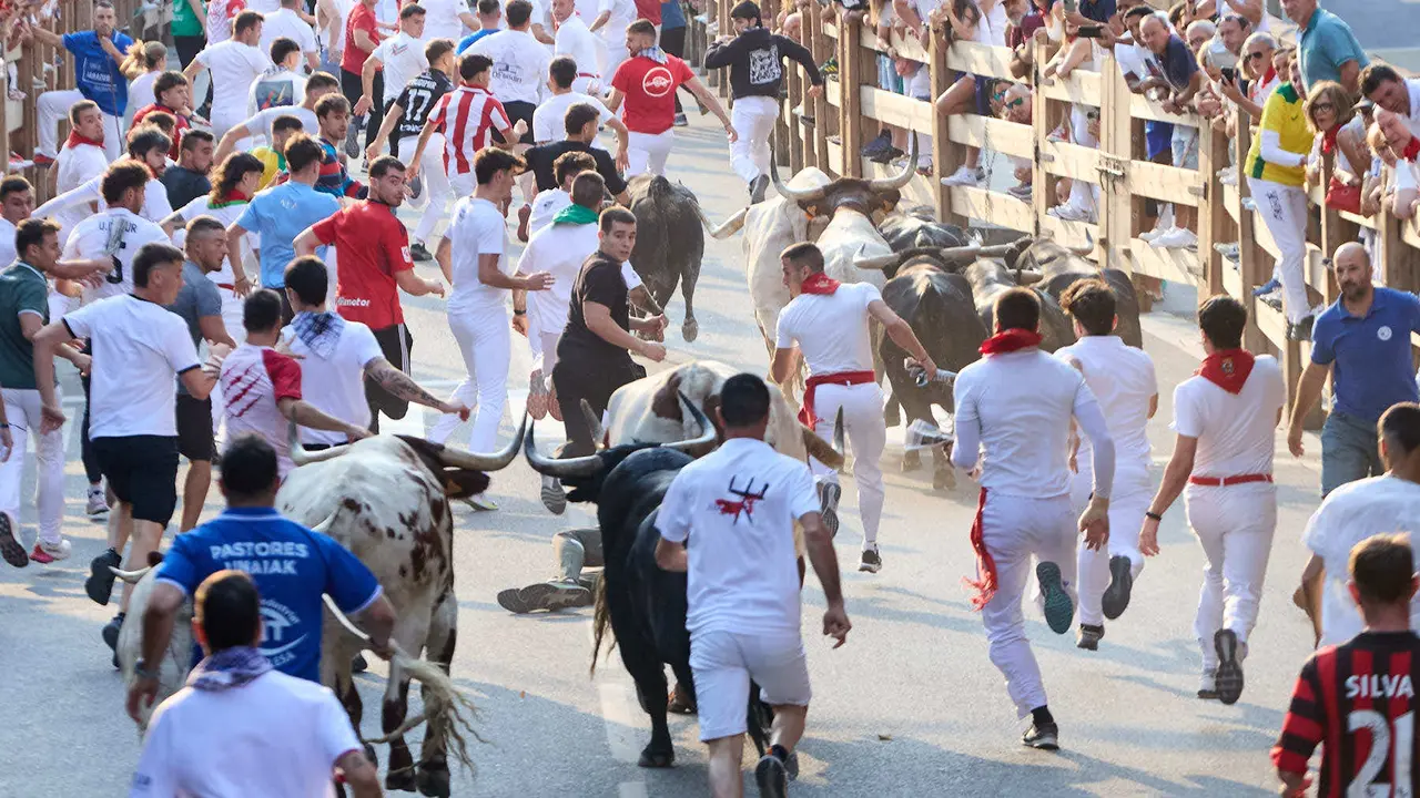 Segundo encierro de las fiestas de Tafalla 2025 con toros de la ganadería de Palha. IÑIGO ALZUGARAY