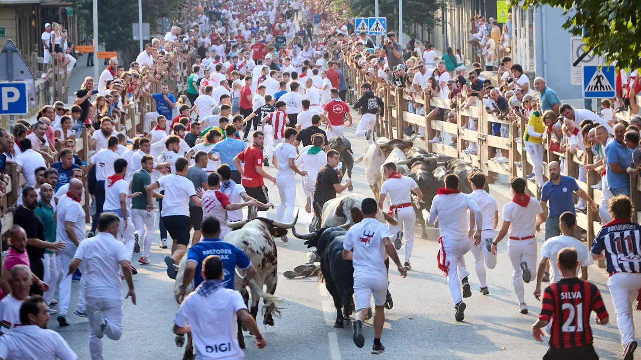 Segundo encierro de las fiestas de Tafalla 2025 con toros de la ganadería de Palha. IÑIGO ALZUGARAY