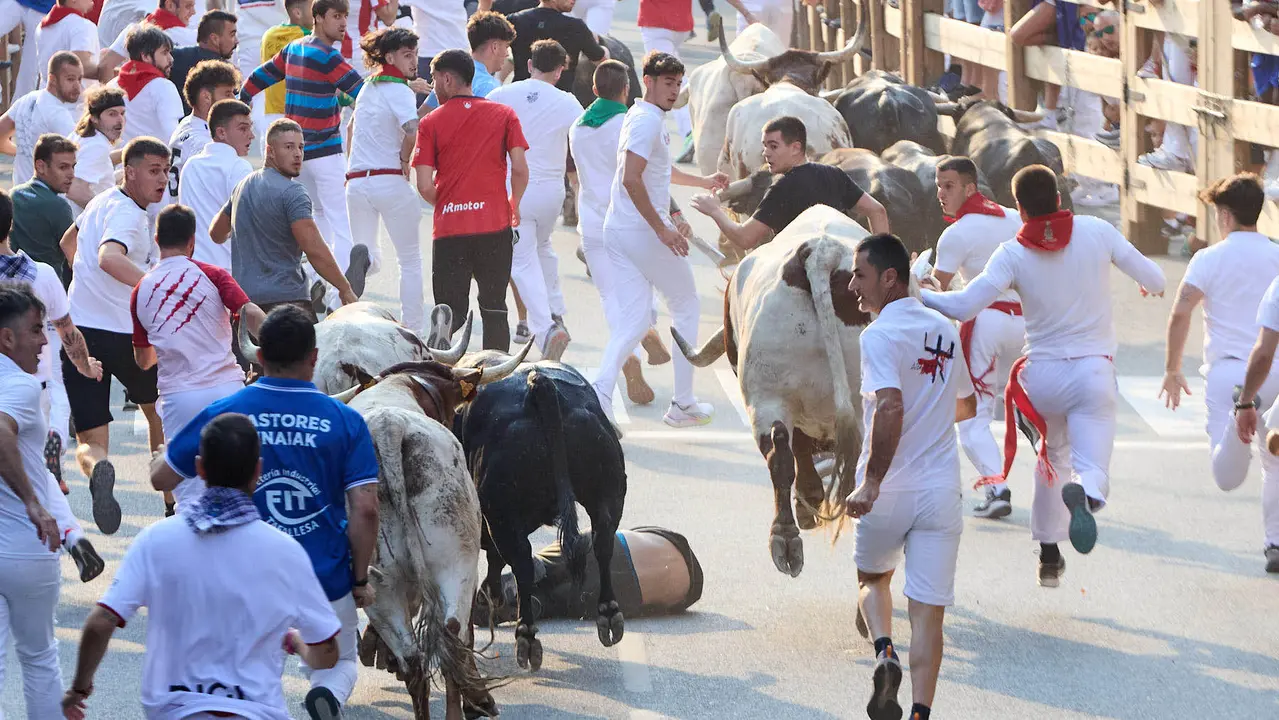 Segundo encierro de las fiestas de Tafalla 2025 con toros de la ganadería de Palha. IÑIGO ALZUGARAY