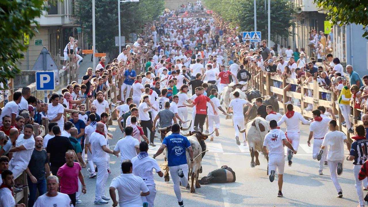 Segundo encierro de las fiestas de Tafalla 2025 con toros de la ganadería de Palha. IÑIGO ALZUGARAY