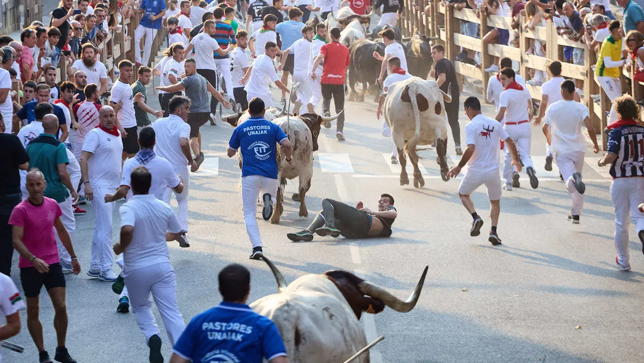 Segundo encierro de las fiestas de Tafalla 2025 con toros de la ganadería de Palha. IÑIGO ALZUGARAY