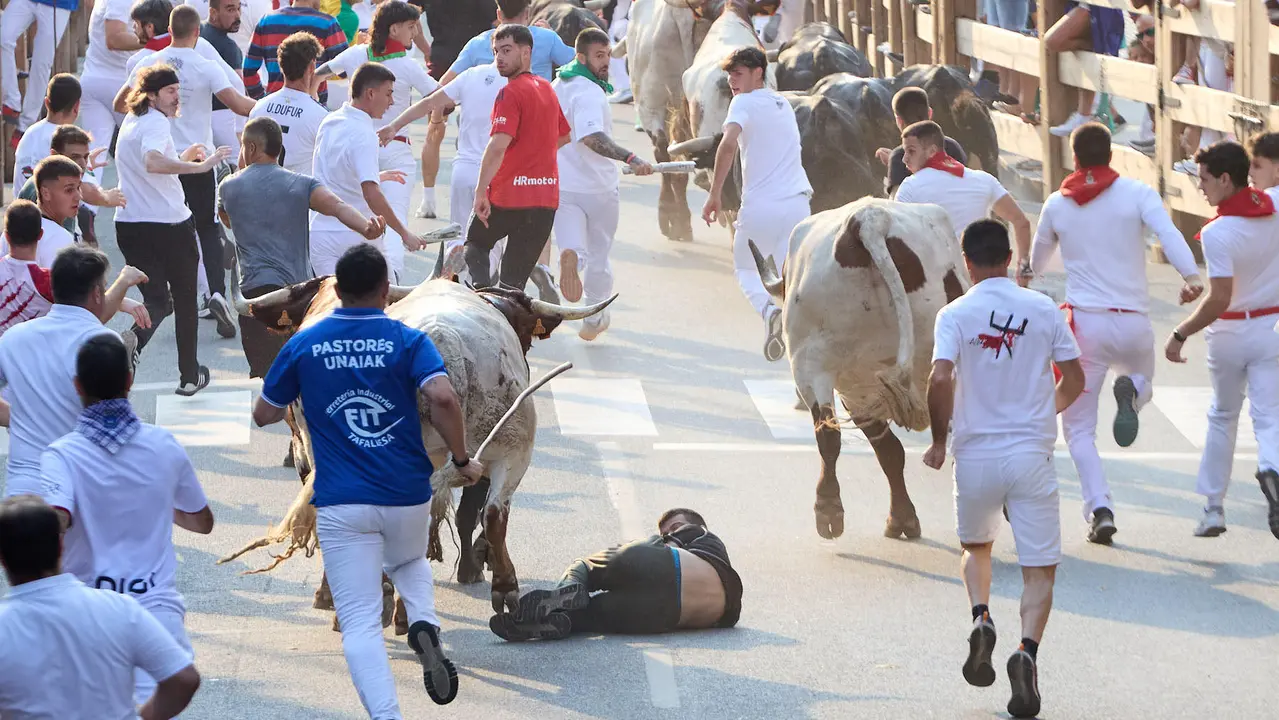 Segundo encierro de las fiestas de Tafalla 2025 con toros de la ganadería de Palha. IÑIGO ALZUGARAY