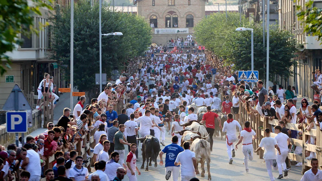 Segundo encierro de las fiestas de Tafalla 2025 con toros de la ganadería de Palha. IÑIGO ALZUGARAY