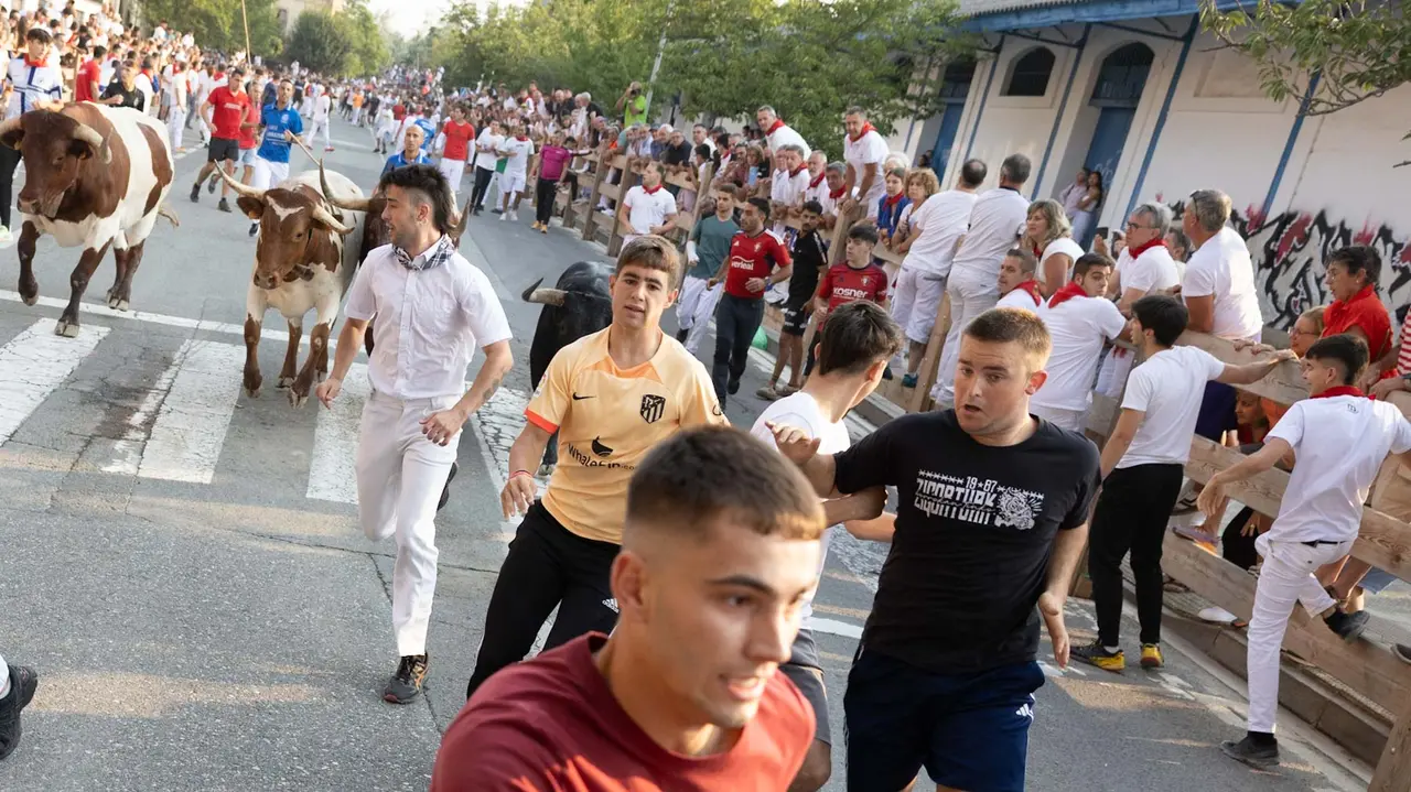 Segundo encierro de Tafalla 2025 con toros de la ganadería Palha. Maite H. Mateo..-04