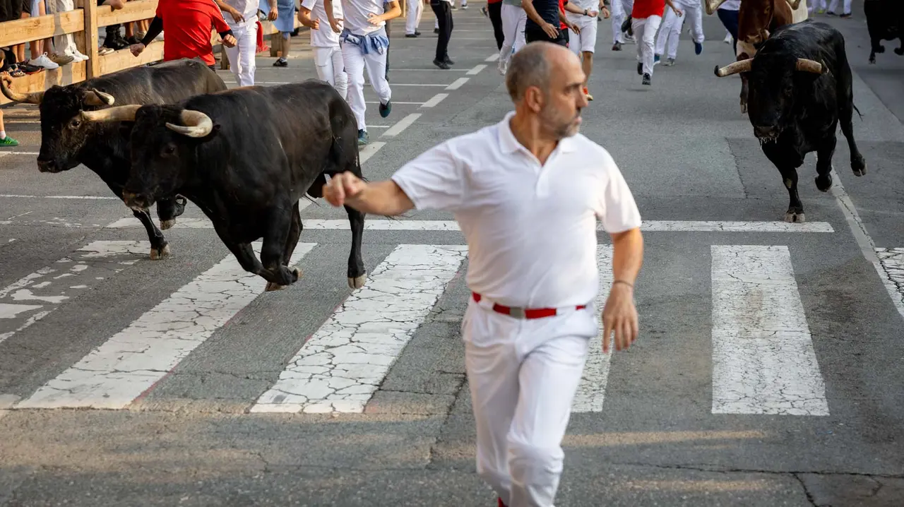 Segundo encierro de Tafalla 2025 con toros de la ganadería Palha. Maite H. Mateo..-08