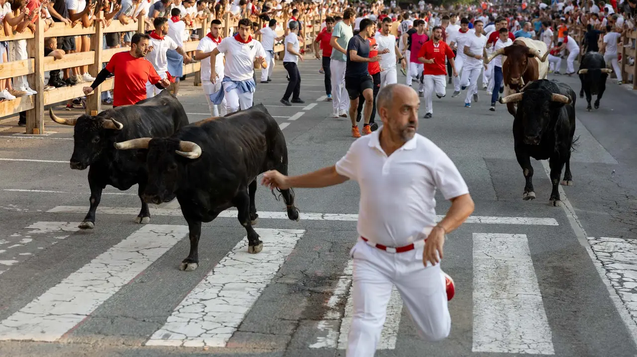 Segundo encierro de Tafalla 2025 con toros de la ganadería Palha. Maite H. Mateo..-09