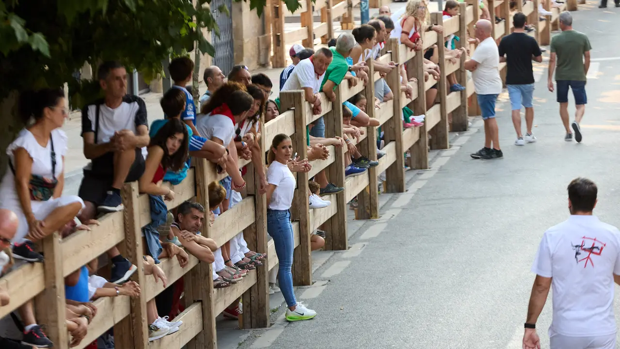 Momentos previos al segundo encierro de las fiestas de Tafalla 2025. IÑIGO ALZUGARAY