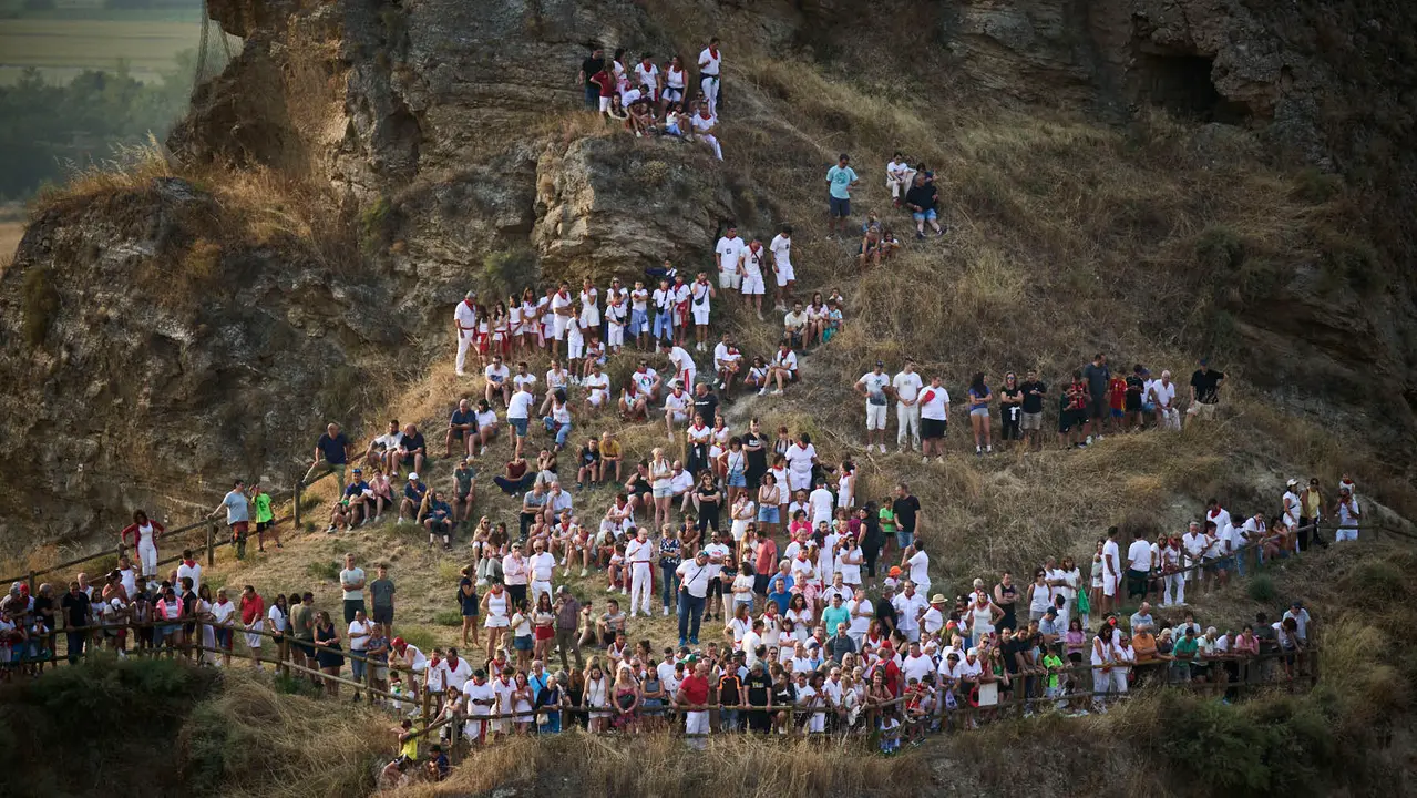 Primer encierro del Pilón en las fiestas de Falces de 2025 con vacas de la ganadería de Vicente Domínguez de Funes. PABLO LASAOSA